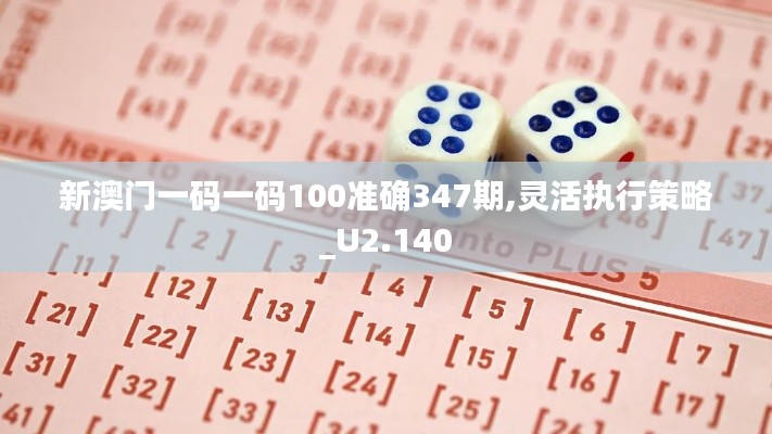 新澳门一码一码100准确347期,灵活执行策略_U2.140