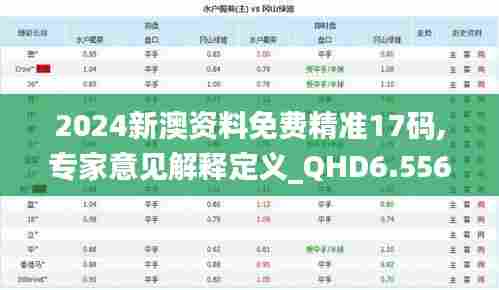 2024新澳资料免费精准17码,专家意见解释定义_QHD6.556
