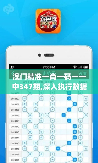 澳门精准一肖一码一一中347期,深入执行数据策略_经典款4.210