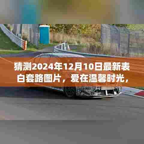 小鸟伊人 第6页