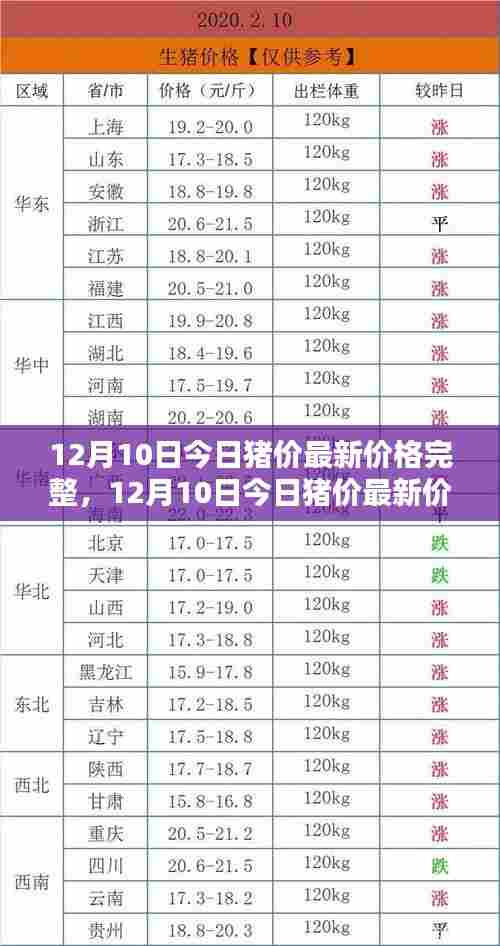 12月10日最新猪价行情解析,全面揭示今日猪价动态