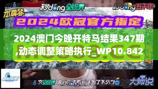 2024澳门今晚开特马结果347期,动态调整策略执行_WP10.842