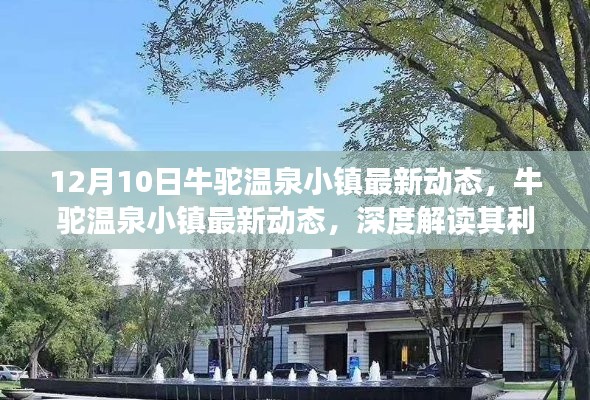 牛驼温泉小镇最新动态深度解读，利弊分析与前景展望