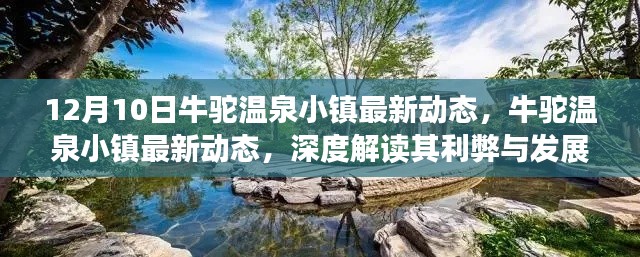 牛驼温泉小镇最新动态深度解读,利弊分析与前景展望