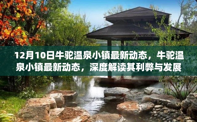 牛驼温泉小镇最新动态深度解读,利弊分析与前景展望
