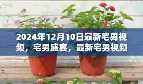 2024年宅男视频新潮流,盛宴兴起与影响