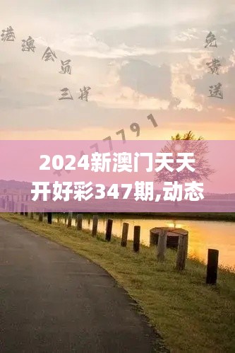 2024新澳门天天开好彩347期,动态分析解释定义_Prime4.659