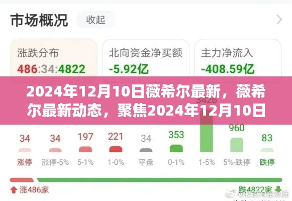 薇希尔最新动态及观点分析，聚焦在2024年12月10日
