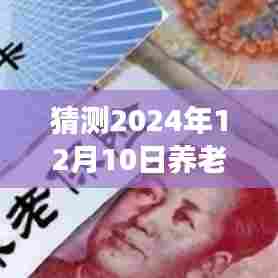揭秘养老金双轨制改革最新动态，展望2024年12月10日的改革进展与小店的背后故事