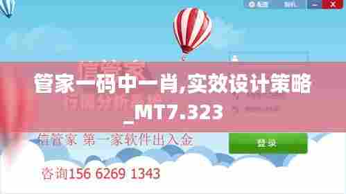 管家一码中一肖,实效设计策略_MT7.323