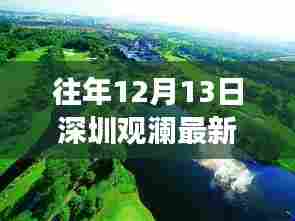深圳观澜自然美景新发现,治愈之旅探寻心灵宁静角落的往年最新消息