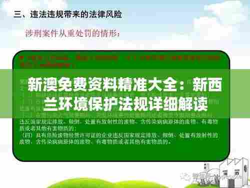 新澳免费资料精准大全:新西兰环境保护法规详细解读