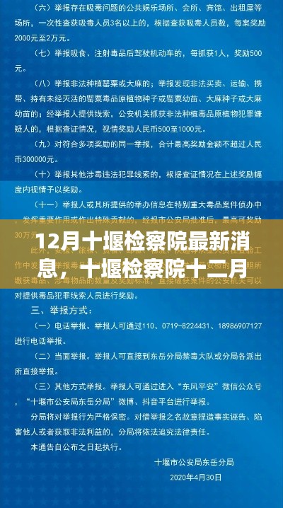 十堰检察院十二月最新动态解读,聚焦某某观点