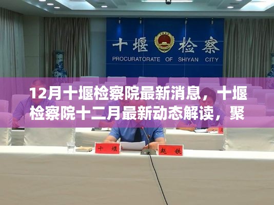 十堰检察院十二月最新动态解读,聚焦某某观点