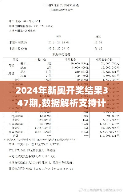 2024年新奥开奖结果347期,数据解析支持计划_3DM3.493