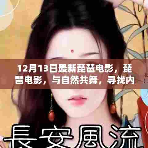 12月最新琵琶电影,与自然共舞,探寻内心宁静之地