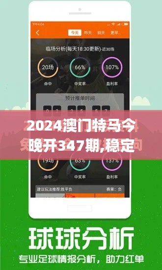 2024澳门特马今晚开347期,稳定设计解析策略_标准版3.782