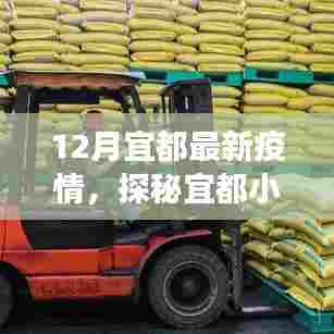 宜都疫情下的隐秘美食宝藏,小巷深处的独特风味探索