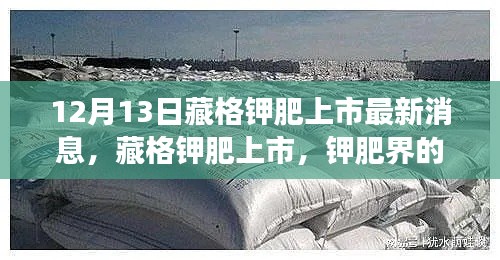 手不释卷 第5页