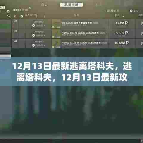 逃离塔科夫12月13日最新攻略解析，游戏指南助你轻松逃离！
