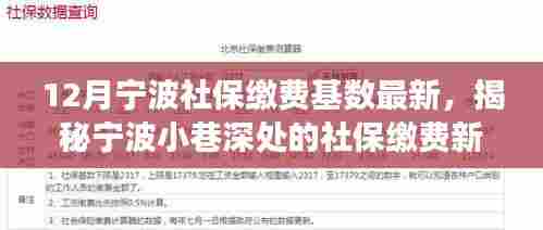 揭秘宁波社保缴费新篇章，特色小店背后的探索之旅与最新缴费基数发布