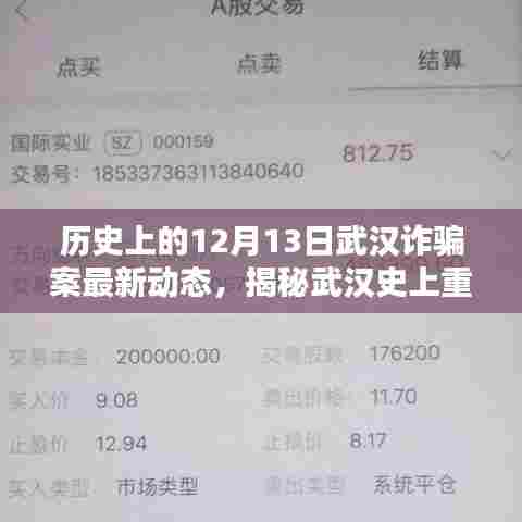 揭秘武汉史上重大诈骗案，最新动态与深远影响回顾分析