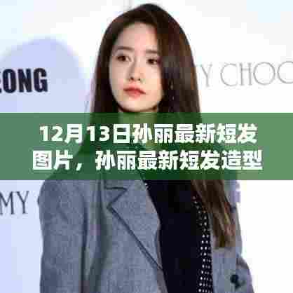 孙丽最新短发造型指南，从理论到实践，轻松打造时尚短发图片教程