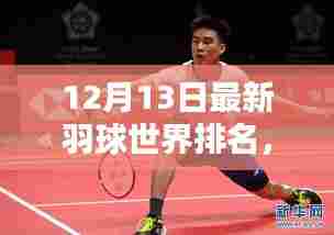 揭秘全球羽球热潮背后的最新世界排名榜单(12月13日更新)