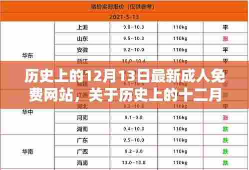 关于涉黄问题的探讨，历史上的十二月十三日与成人免费网站的关联及观点分析