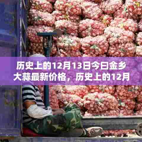 历史上的12月13日与今日金乡大蒜价格详解,最新行情及查询方法指南