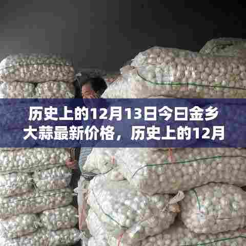 历史上的12月13日与今日金乡大蒜价格详解,最新行情及查询方法指南