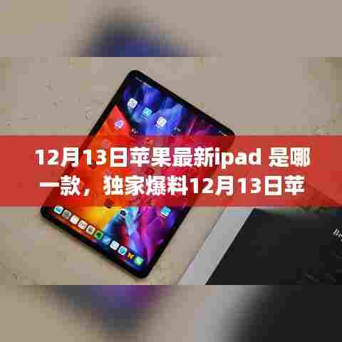 好整以暇 第4页