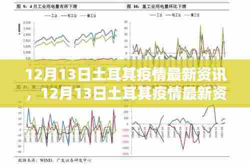 12月13日土耳其疫情最新资讯解析与防疫指南
