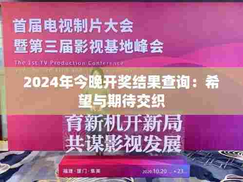 2024年今晚开奖结果查询:希望与期待交织