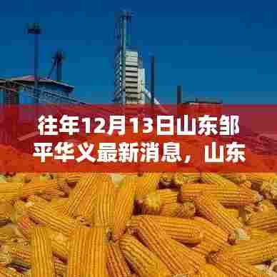 山东邹平华义最新动态深度解析，特性、体验、竞品对比与用户洞察