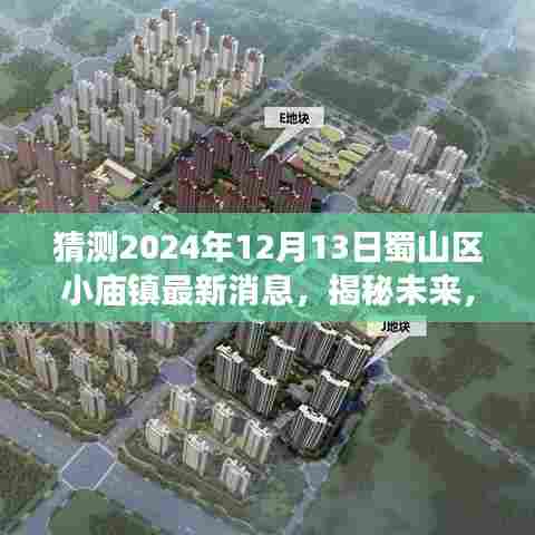 揭秘未来,蜀山区小庙镇最新消息(预测至2024年12月13日)获取与解读指南