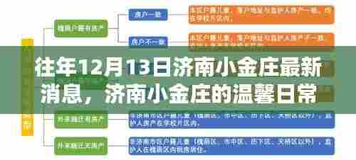 济南小金庄,温馨日常与奇遇的情感纽带——12月13日最新消息