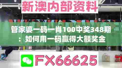 管家婆一码一肖100中奖348期:如何用一码赢得大额奖金