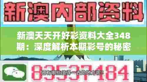 新澳天天开好彩资料大全348期:深度解析本期彩号的秘密