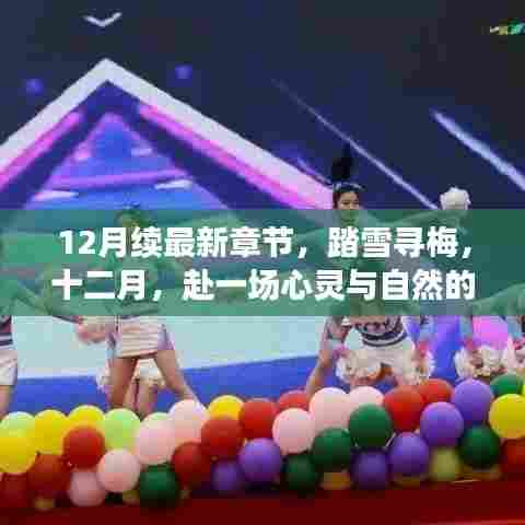 踏雪寻梅,十二月心灵与自然的美妙之旅最新章节