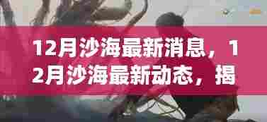 揭秘沙海新发现，最新动态与未来展望（十二月更新）