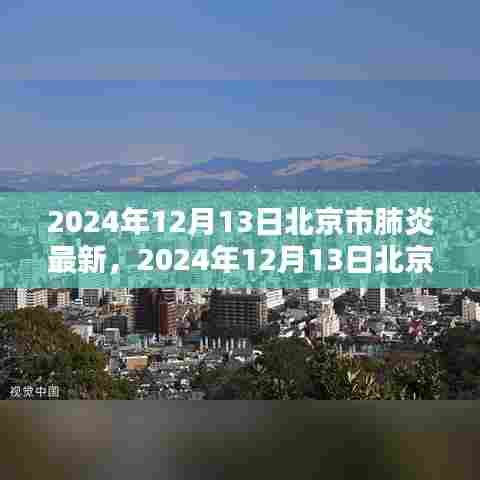 2024年12月13日北京市肺炎疫情最新态势观点探讨