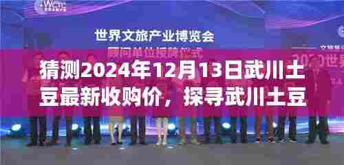 探寻武川土豆之旅，自然美景下的价格之谜与未来预测（最新收购价猜想）