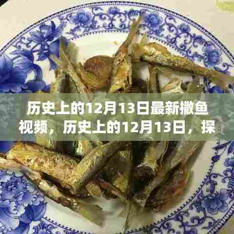 历史上的12月13日，探寻最新撒鱼视频及其背后的故事