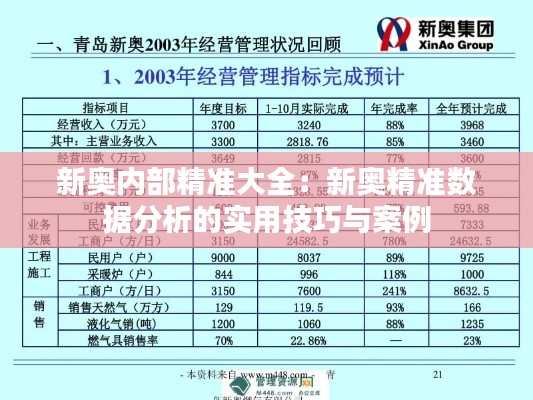 新奥内部精准大全：新奥精准数据分析的实用技巧与案例