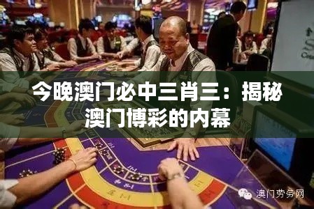 今晚澳门必中三肖三:揭秘澳门博彩的内幕
