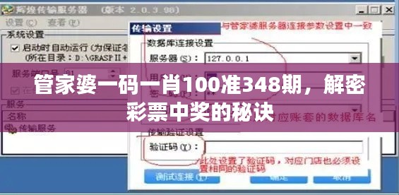 管家婆一码一肖100准348期,解密彩票中奖的秘诀