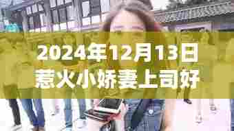 小娇妻上司的神秘私房美食秘境,惹火章节与巷弄深处的独特风味