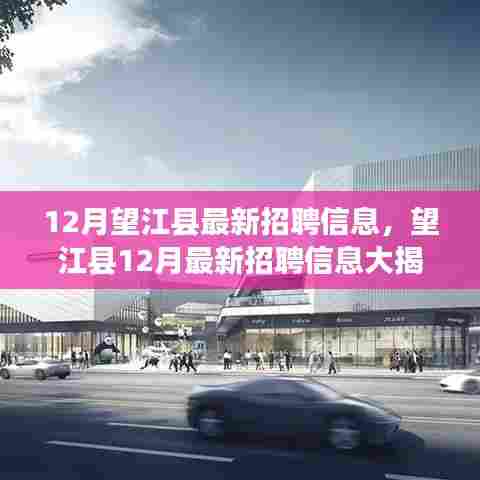望江县十二月最新招聘热潮，众多岗位等你来挑战！