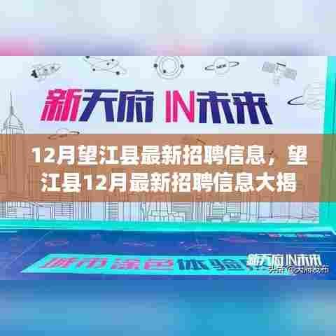 望江县十二月最新招聘热潮,众多岗位等你来挑战!
